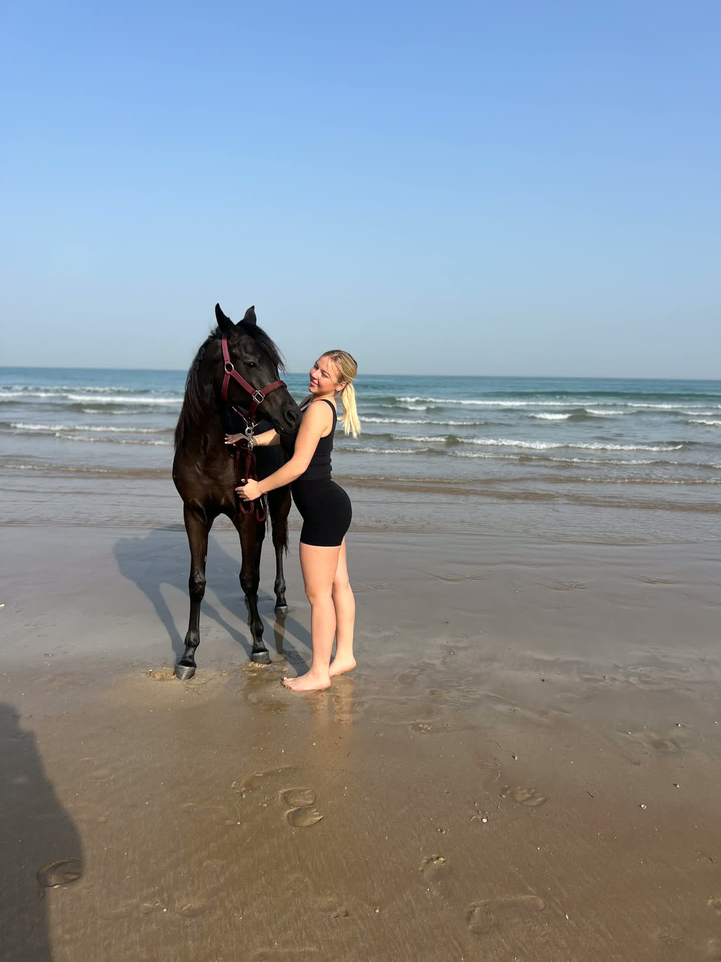 Lifestyle shoot with a horse on the beach in the UAE